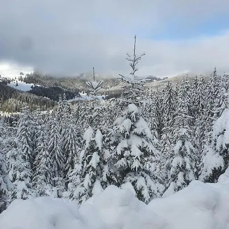 Colt De Rai Padina-bucegi * Poiana Tapului
